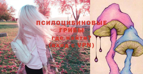 Альфа ПВП Кулебаки